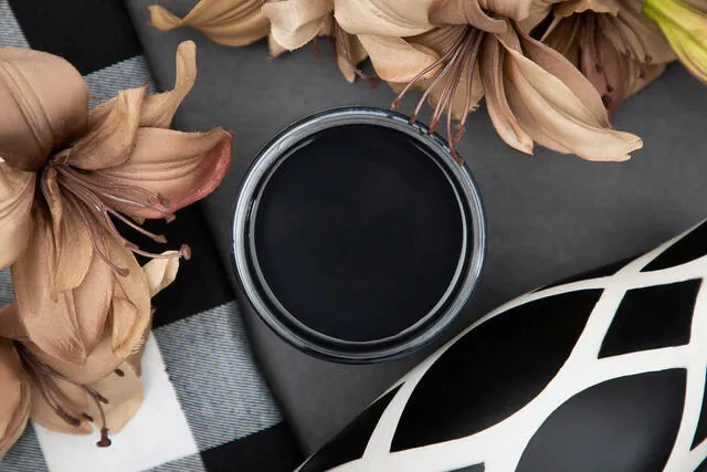 Caviar Chalk Mineral Paint - Dixie Belle Paint Company