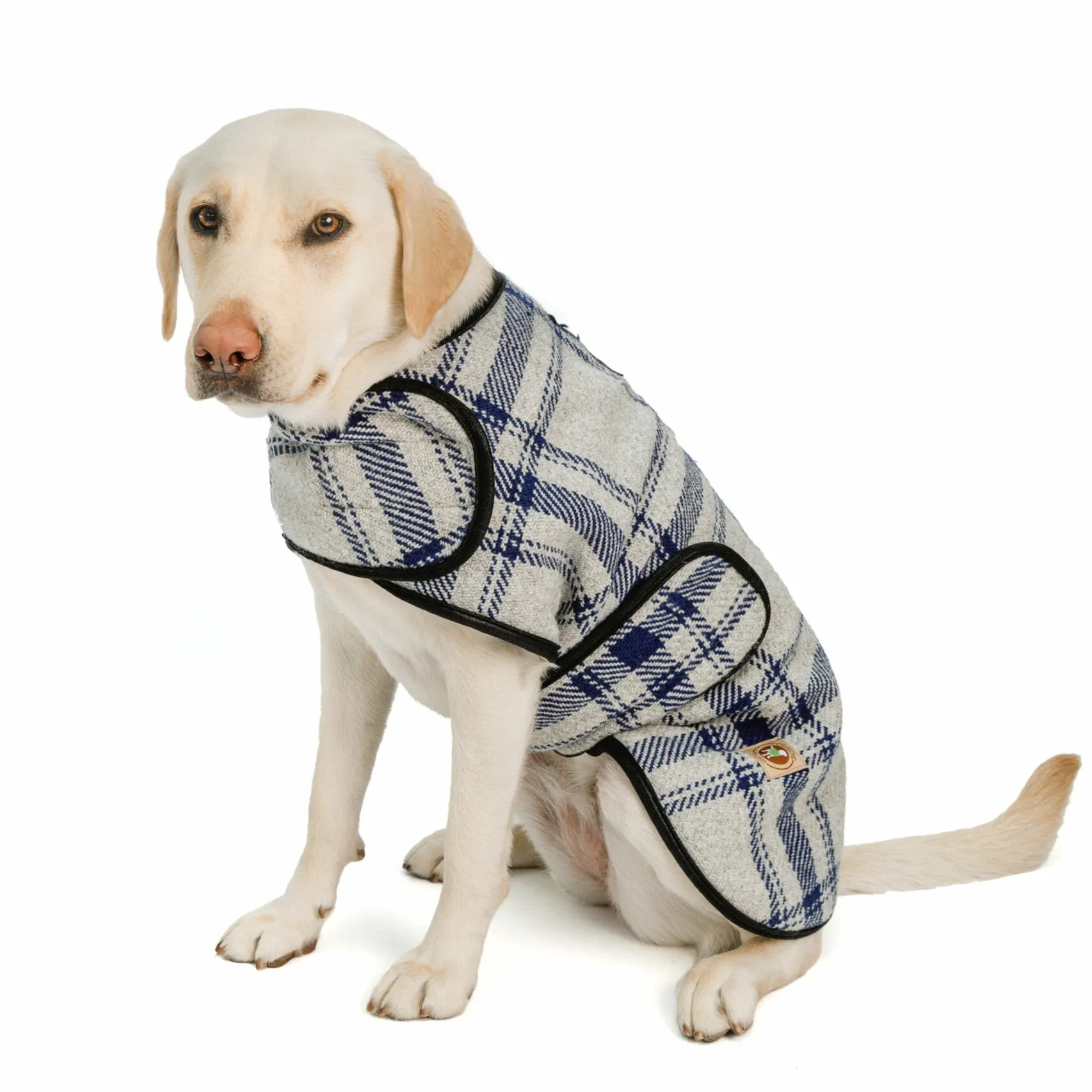 Light Gray and Blue Plaid Fleece Lined Dog Coat by Chilly Dog