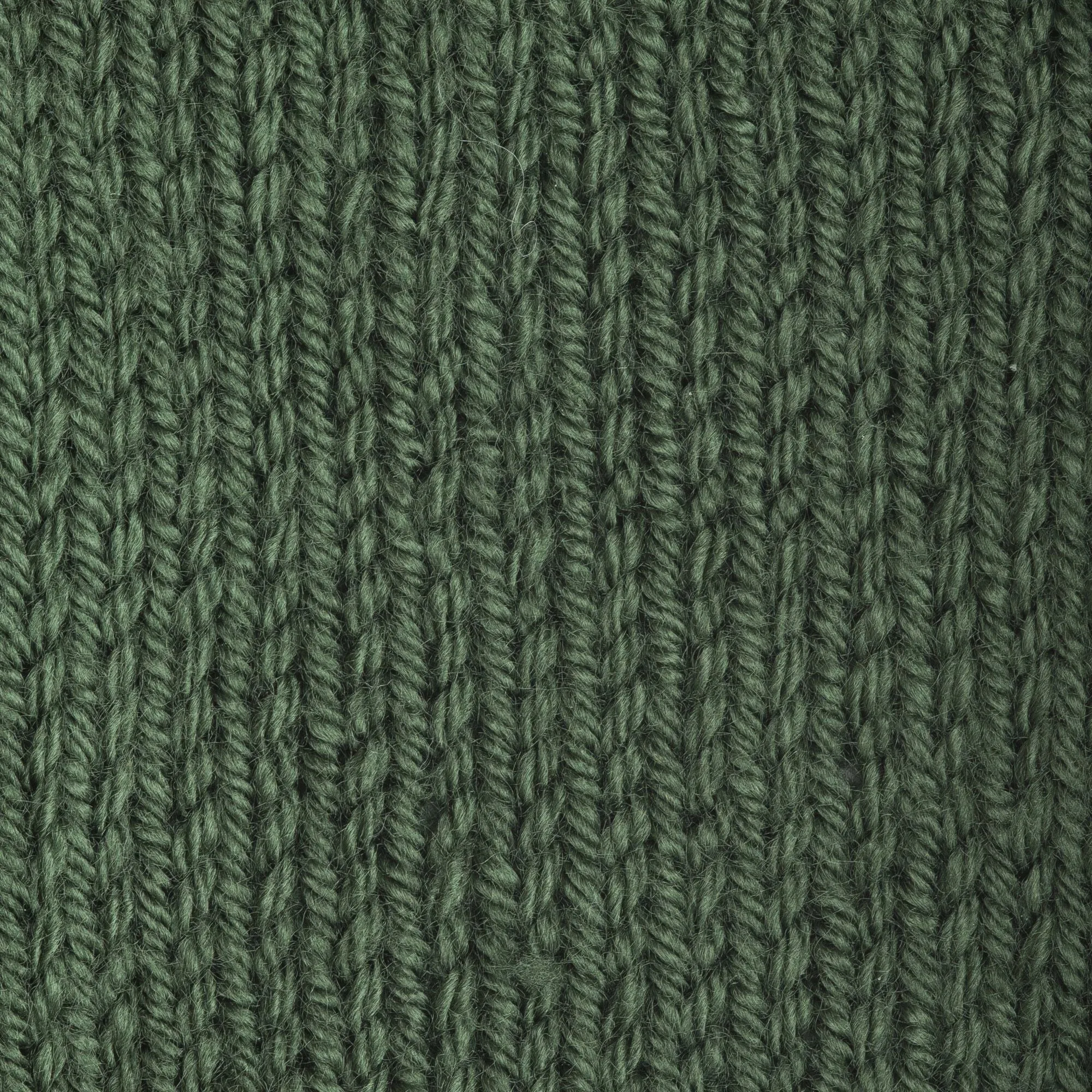 Patons Canadiana Dark Green Tea 10237