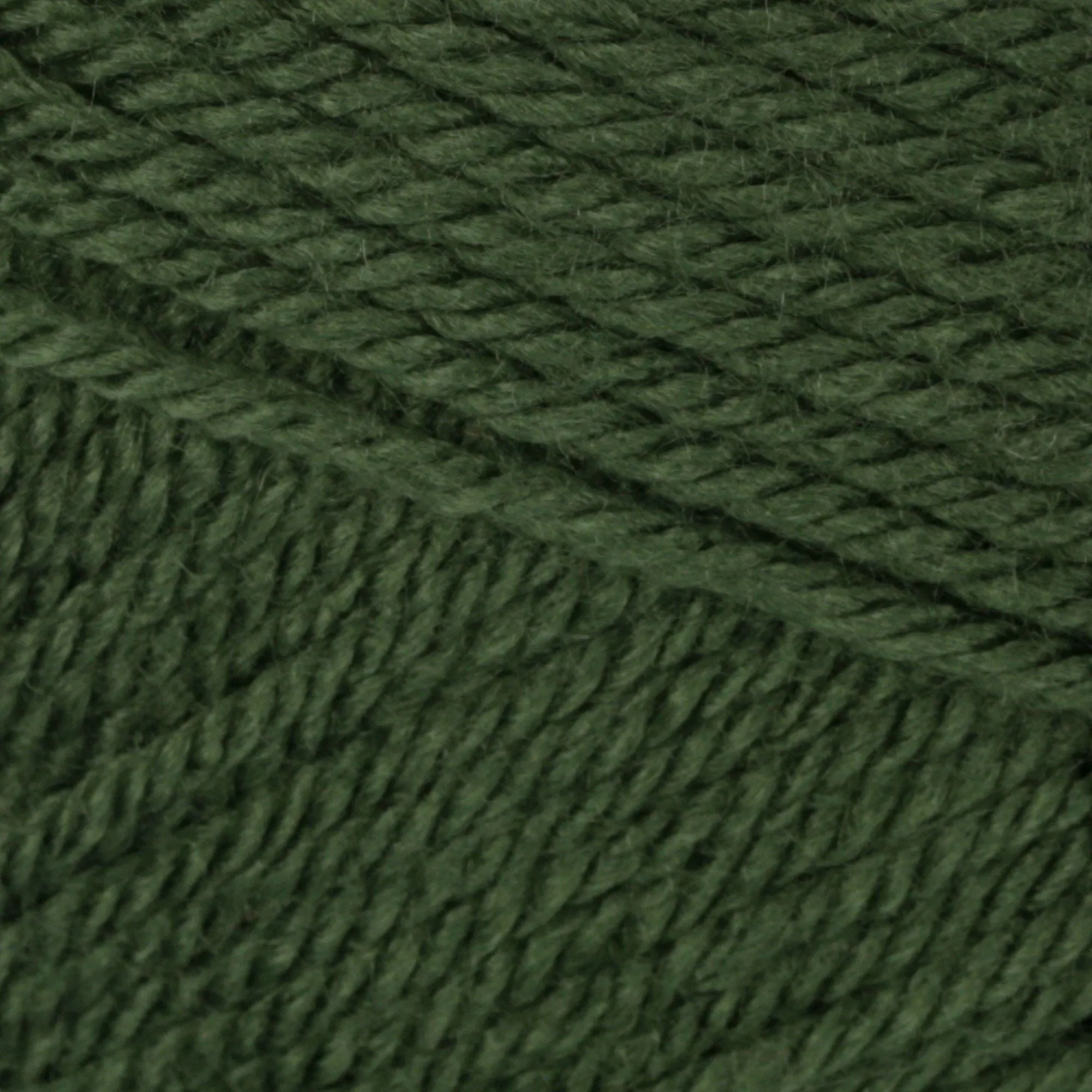 Patons Canadiana Dark Green Tea 10237