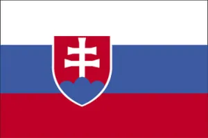 Slovakia National Flag Printed